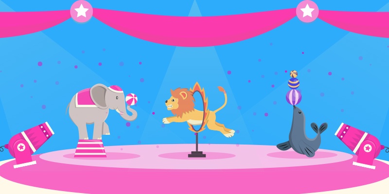 A circus act with a range of marketing tricks and tools.