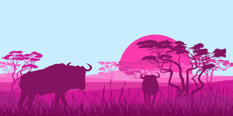 Two wildebeests relaxing by a sunset happy with their tool migration