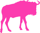 A pink wildebeest