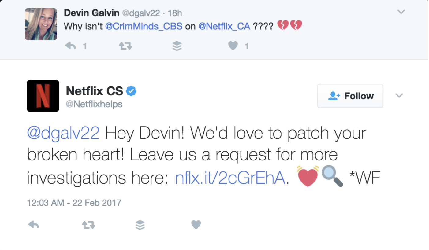 Netflix Customer Service Example