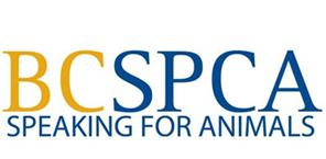 Donating to the Kelowna BC SPCA Because We Love Animals