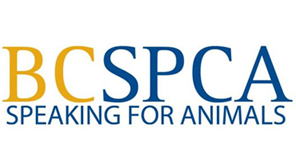 Donating to the Kelowna BC SPCA Because We Love Animals